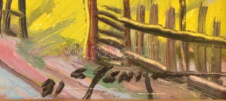 Usik Stepan Grigorovich (1925-2001): Kárpátaljai falu. Tempera, karton, jelzett, keretben, 24×27 cm