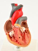 Ápisz szív modell, m: 18 cm