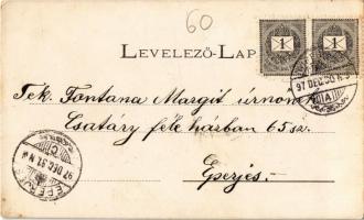 1897 (Vorläufer!!!) Nyíregyháza, Korona szálloda, Színház, Sóstógyógyfürdő