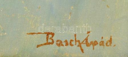 Basch jelzéssel: Kisfiú portré. Olaj, vászon, keretben, 40×30 cm