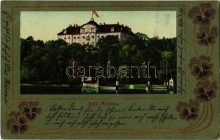 1902 Mainau, Insel Schloss / island castle. Art Nouveau (EK)