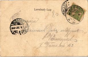 1903 Szeged, Széchenyi tér a városházával. Magyar zászlós litho keret (kis szakadás / small tear)