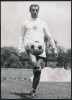 1973 Juhász István labdarúgó, Ferencváros (FTC), feliratozott sajtófotó, 18×13 cm