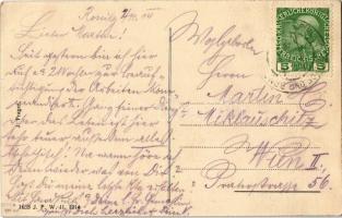 Rosice, Rossitz; Dampfmühle, Schloss / mill, castle (EK)