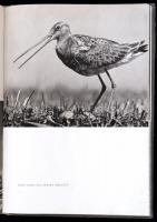 ifj. Dr. Tildy Zoltán: Fehértó. Bp., é.n., Országos Természetvédelmi Tanács,(Szikra-ny.) Fekete-fehé...