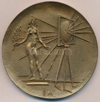 Borsos Miklós (1906-1990) 1975. "Miskolci Filmfesztivál 1975" Br emlékérem (89mm) T:2