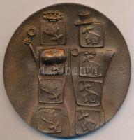 Ligeti Erika (1934-2004) 1983. "23. Miskolci Filmfesztivál 1983" Br emlékérem (90mm) T:2