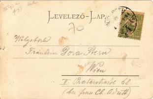 1904 Budapest VII. Keleti pályaudvar, vasútállomás. "Kirándulás Budapestre" esernyővel rep...