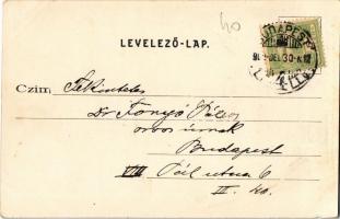 1902 Budapest VIII. Nemzeti Tornaegylet csarnoka, belső, tornacsarnok, tornaszerek. Erdélyi cs. és k...