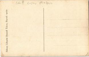 Tulcea, Tulcsa; Vasul Cesar Mabro / steamship on frozen water in winter