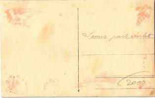 Semse, Semsa; park / park. photo (Rb)