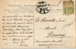 1906 Fél, Feilendorf, Tomasov (Pozsony megye); Rovara Frigyes úri laka és gazdasága. Hátoldalon Rova...