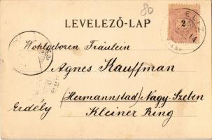 1900 Zselíz, Zeliezovce; Gróf Breunner uradalmi kastélya / castle (EK)