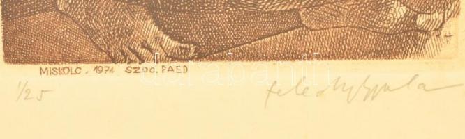 Feledy Gyula (1928-2010): Anyaság. Rézkarc (I/25), papír, jelzett, üvegezett keretben, 20×13 cm