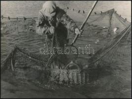 Halász halászhálóval, jelzetlen fotó, 17,5×23,5 cm