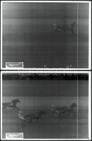 1976-1989 6 db ügető és galopp célfotó, 18×ˇ4 cm