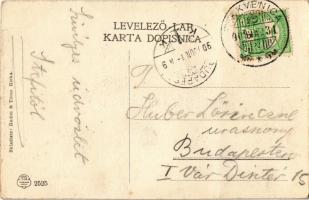 1909 Crikvenica, Cirkvenica; Strasse / street view