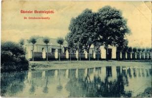 1908 Mezőtelegd, Tileagd; Dr. Grünbaum kastély. W. L. 1571.  / castle (EK)