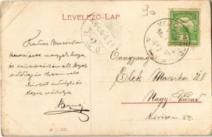 1908 Mezőtelegd, Tileagd; Dr. Grünbaum kastély. W. L. 1571.  / castle (EK)