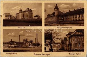 Diószeg, Sládkovicovo; Mária malom, Cukorgyári igazgatóság, Cukorgyár belseje és bejárata / mill, directorate of the sugar factory, sugar factory, entrance gate (EB)