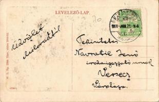 1911 Karánsebes, Caransebes; Fő utca, üzlet. W. L. Bp. 2769. / Strada principala / main street, shop...