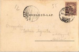 1901 Szentágota, Agnetheln, Agnita; Marktplatz, Hotel Agnetha / Piac tér, piaci árusok, üzletek, Agn...
