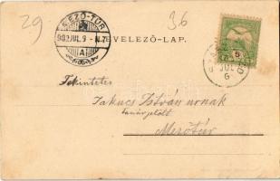 1902 Kőhalom, Reps, Rupea; Fő tér, vár. Kiadja Johanna Gunesch / Cetatea Rupea / main square, castle