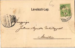 1906 Soborsin, Savarsin; látkép, utca, Római katolikus templom, Erzsébet királyné (Sisi) szobor, Rot...