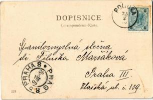 1900 Policka, Námesti, Policka / square, town hall. V. K. Rippla Art Nouveau, floral