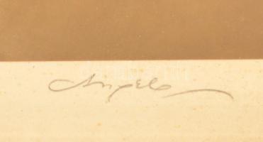 cca 1930 Angelo (1894-1974): Női portré, színezett fotó, aláírva, üvegezett keretben, 22×16 cm