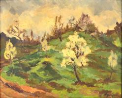 Agricola Lídia (1914-1994): Tavasz a Virághegyen. Olaj, vászon, jelzett, keretben, 65×80 cm