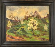 Agricola Lídia (1914-1994): Tavasz a Virághegyen. Olaj, vászon, jelzett, keretben, 65×80 cm