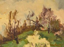Agricola Lídia (1914-1994): Tavasz a Virághegyen. Olaj, vászon, jelzett, keretben, 65×80 cm
