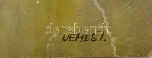 Nemes Tibor (1955-): Tó part. Olaj, falemez, jelzett, 30×40 cm