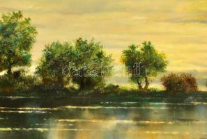 Nemes Tibor (1955-): Tó part. Olaj, falemez, jelzett, 30×40 cm