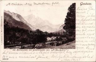 Gesäuse, Der Reichenstein von Gstatterboden aus / mountains, railway line. C. Ledermann jr. 3102F