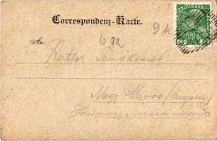 Gesäuse, Der Reichenstein von Gstatterboden aus / mountains, railway line. C. Ledermann jr. 3102F