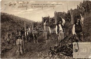 1908 Douro, Conduccao da uva para o lagar / bringing the grapes to the winepress, vineyards. TCV card (EK)