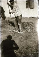 cca 1940-1944 Kis fotó tétel: katonaportrék, csoportképek, életképek, stb. (Kárpátalja?), összesen 3...