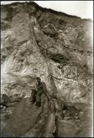 cca 1940-1944 Kis fotó tétel: katonaportrék, csoportképek, életképek, stb. (Kárpátalja?), összesen 3...