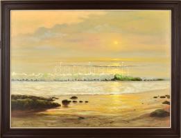 Farkas Gyöngyi (1959-): A tenger. Olaj, farost, jelzett, keretben, 60×80 cm