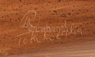 Tóth Rozália (1946-2015):Kiszáradt fa az alföldön, olaj-gipsz, farost, jelzett, keretben, 40×80 cm