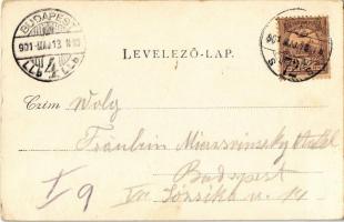 1901 Törökbálint, utca, látkép. Kiadja Eckstein Adolf. Floral (EB)