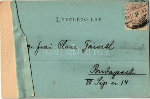 1899 Pozsony, Pressburg, Bratislava; a régi hajóhíd (pontonhíd), uszályok, vár. Edgar Schmidt / old ...