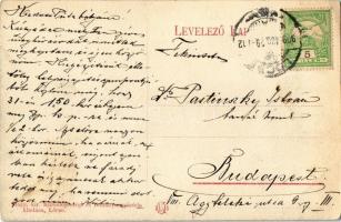 1909 Lőcse, Levoca; Gymnasium tér és Állami kertmunkás iskola / square, gardening school, gardener (...