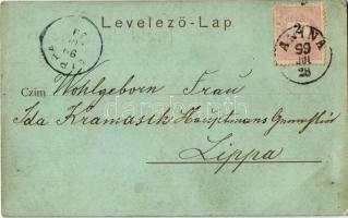 1899 Stájerlak, Steierlak, Stájerlakanina, Steierdorf, Anina; nyaraló / villa (EB)