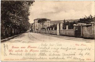 1901 Fiume, Rijeka; Via Pino / street