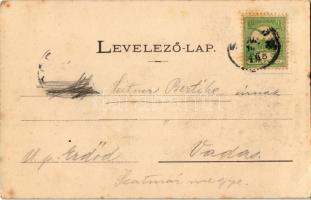 1903 Balatonfüred, Herceprímási park, villa. Kiadja Grüner Simon (fl)