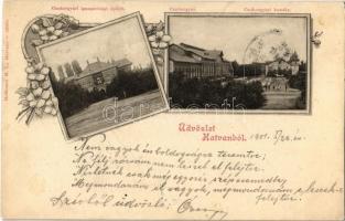1901 Hatvan, Cukorgyár, Cukorgyári kastély, Cukorgyári igazgatósági épület. Kiadja Hoffmann M. L. Art Nouveau, floral (fl)