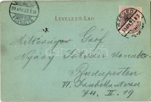 1899 Szeged, Széchenyi tér, Városháza, Közúti híd. Kiadja Traub B. és Társa 3500. Art Nouveau, flora...